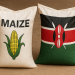 Africa. Kenya’s maize harvest will raise to 70 million bags(90 kg) in 2025 from 34.3 million bags recorded in 2022.