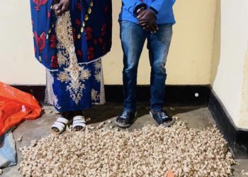 Musanze district: A son and his mother were caught with 2.520 cannabis wraps at their house with the help of citizens.