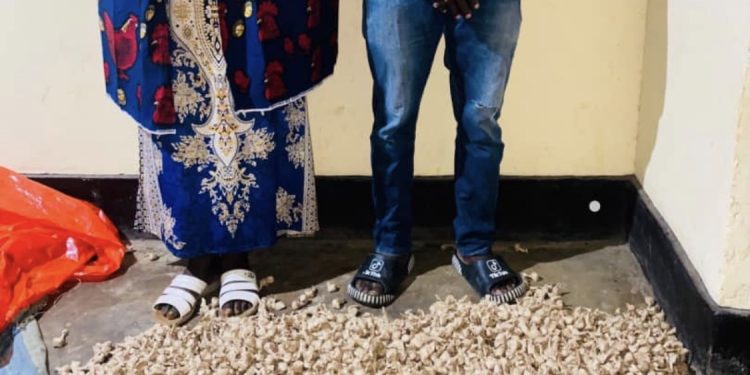 Musanze district: A son and his mother were caught with 2.520 cannabis wraps at their house with the help of citizens.